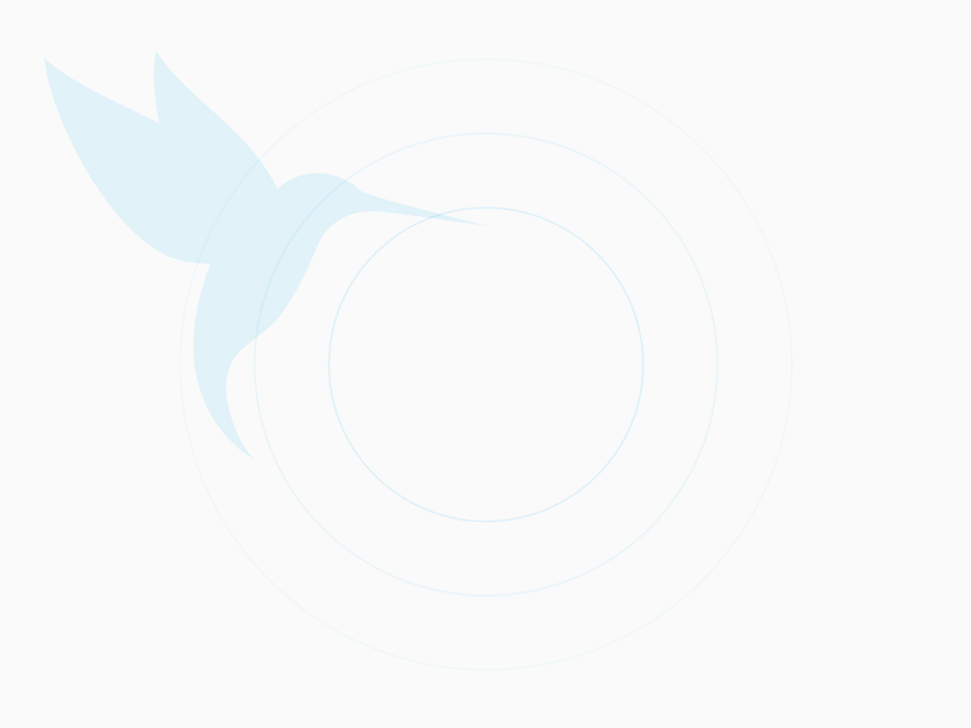 Lorem Ipsum Colibri